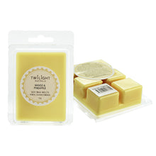 Load image into Gallery viewer, Twilight Frost Soy Wax Melt 55g (Various Scents)