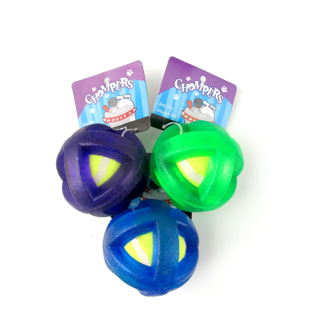 Dog Toy Boingo Ball 7.5cm 3 Asstd Cols Green Blue Purple
