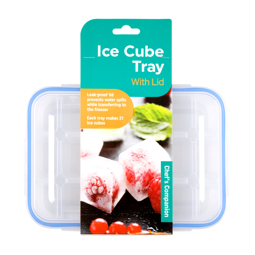 Ice Cube Tray w Lid 21pc 26x10x8cm