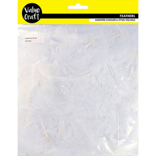 Load image into Gallery viewer, CRAFT FEATHERS WHITE 10G

