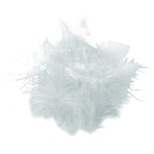 Load image into Gallery viewer, CRAFT FEATHERS WHITE 10G
